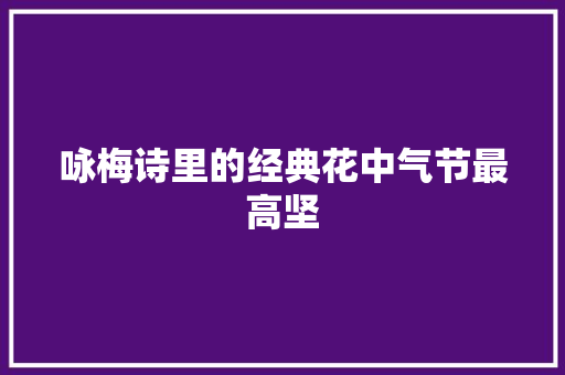咏梅诗里的经典花中气节最高坚
