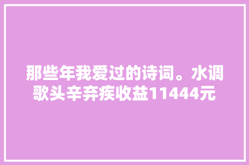 那些年我爱过的诗词。水调歌头辛弃疾收益11444元