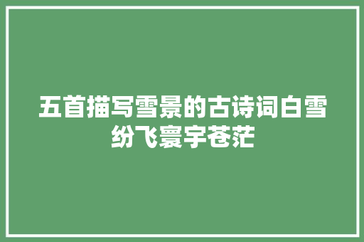五首描写雪景的古诗词白雪纷飞寰宇苍茫