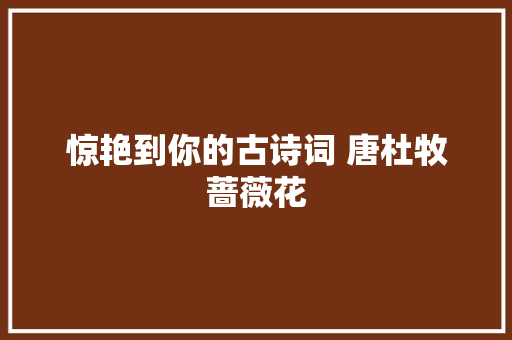 惊艳到你的古诗词 唐杜牧蔷薇花