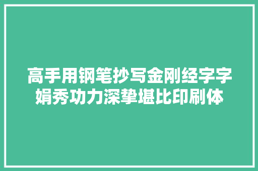 高手用钢笔抄写金刚经字字娟秀功力深挚堪比印刷体