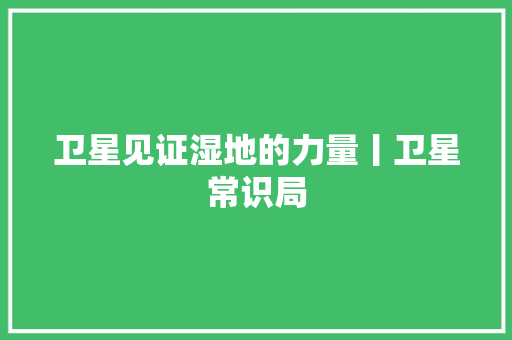 卫星见证湿地的力量丨卫星常识局