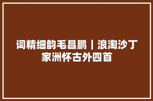 词精细韵毛昌鹏｜浪淘沙丁家洲怀古外四首