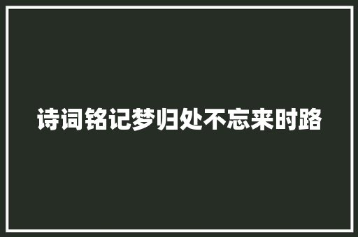 诗词铭记梦归处不忘来时路