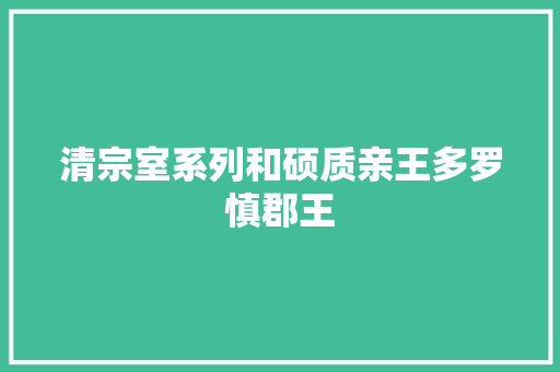 清宗室系列和硕质亲王多罗慎郡王