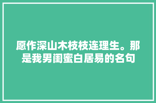 愿作深山木枝枝连理生。那是我男闺蜜白居易的名句