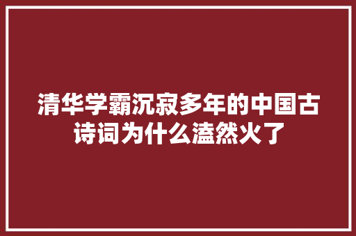 清华学霸沉寂多年的中国古诗词为什么溘然火了