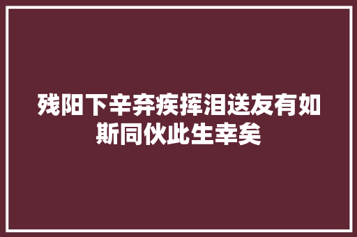 残阳下辛弃疾挥泪送友有如斯同伙此生幸矣
