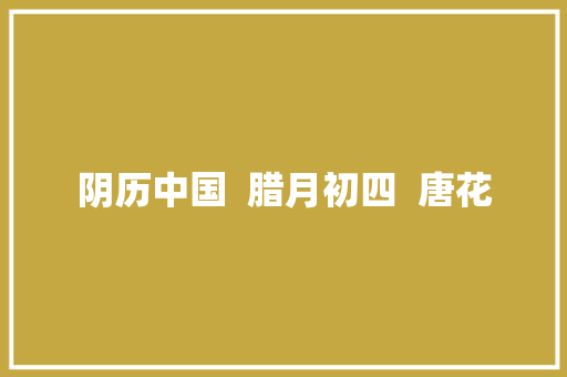 阴历中国  腊月初四  唐花