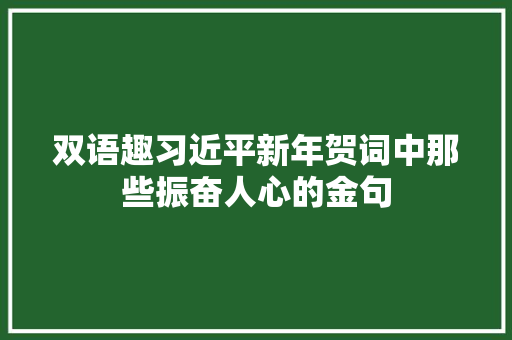 双语趣习近平新年贺词中那些振奋人心的金句