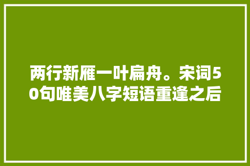 两行新雁一叶扁舟。宋词50句唯美八字短语重逢之后便魂牵梦绕