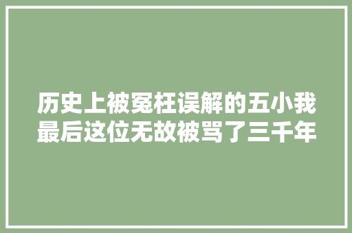 历史上被冤枉误解的五小我最后这位无故被骂了三千年