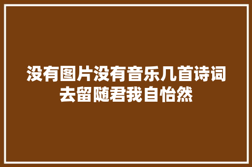 没有图片没有音乐几首诗词去留随君我自怡然