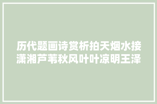 历代题画诗赏析拍天烟水接潇湘芦苇秋风叶叶凉明王泽