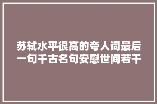 苏轼水平很高的夸人词最后一句千古名句安慰世间若干天际游子