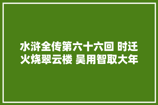 水浒全传第六十六回 时迁火烧翠云楼 吴用智取大年夜名府