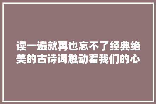 读一遍就再也忘不了经典绝美的古诗词触动着我们的心田