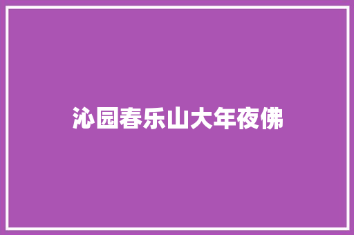 沁园春乐山大年夜佛