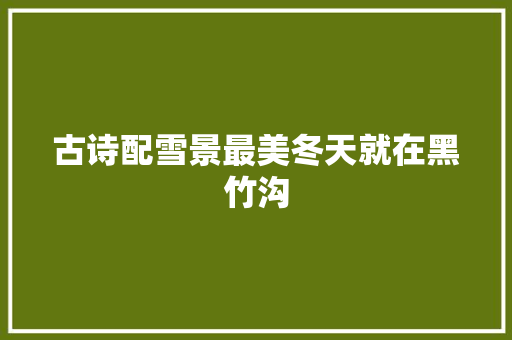 古诗配雪景最美冬天就在黑竹沟