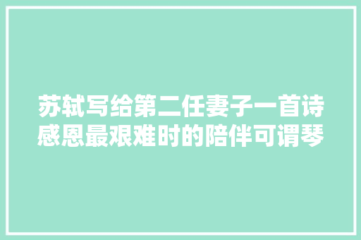 苏轼写给第二任妻子一首诗感恩最艰难时的陪伴可谓琴瑟和鸣