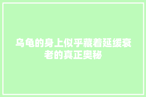 乌龟的身上似乎藏着延缓衰老的真正奥秘
