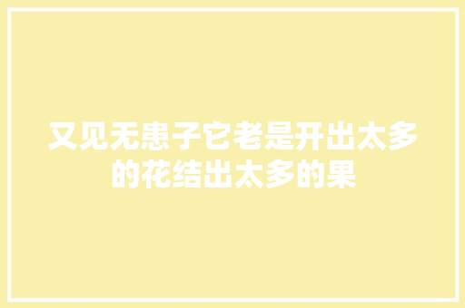 又见无患子它老是开出太多的花结出太多的果