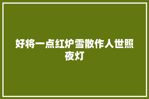 好将一点红炉雪散作人世照夜灯 好将一点红炉雪散作人世照夜灯