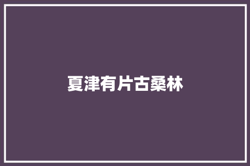 夏津有片古桑林