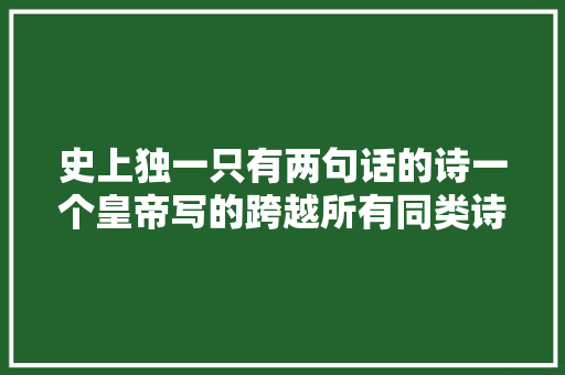 史上独一只有两句话的诗一个皇帝写的跨越所有同类诗歌