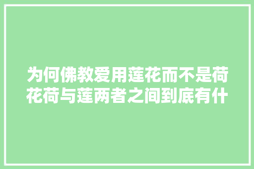 为何佛教爱用莲花而不是荷花荷与莲两者之间到底有什么根本差异