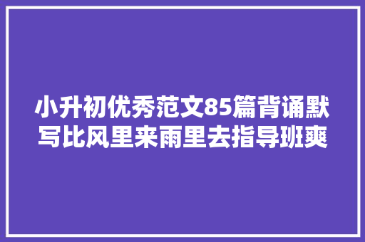 小升初优秀范文85篇背诵默写比风里来雨里去指导班爽多了下