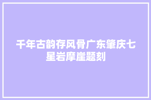 千年古韵存风骨广东肇庆七星岩摩崖题刻