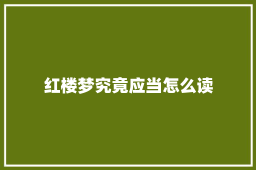 红楼梦究竟应当怎么读
