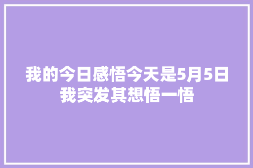 我的今日感悟今天是5月5日我突发其想悟一悟