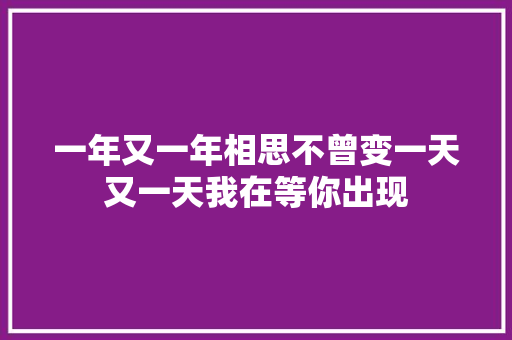一年又一年相思不曾变一天又一天我在等你出现