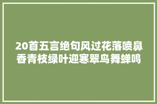 20首五言绝句风过花落喷鼻香青枝绿叶迎寒翠鸟舞蝉鸣送瑞祥。