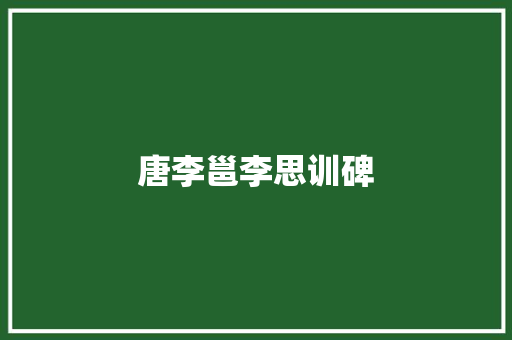 唐李邕李思训碑