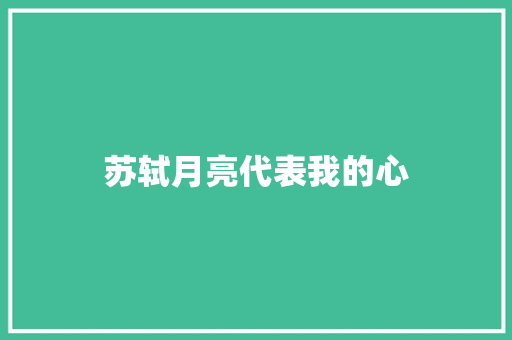 苏轼月亮代表我的心