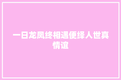 一日龙凤终相遇便绎人世真情谊