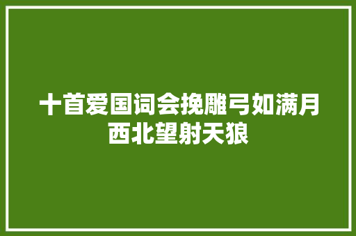 十首爱国词会挽雕弓如满月西北望射天狼