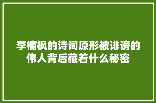 李楠枫的诗词原形被诽谤的伟人背后藏着什么秘密
