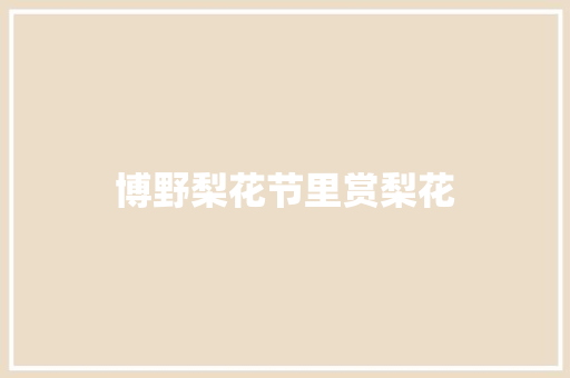 博野梨花节里赏梨花