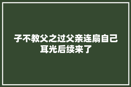 子不教父之过父亲连扇自己耳光后续来了
