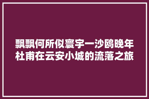 飘飘何所似寰宇一沙鸥晚年杜甫在云安小城的流落之旅