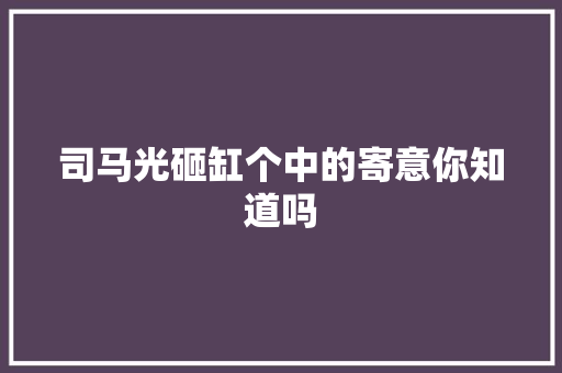 司马光砸缸个中的寄意你知道吗
