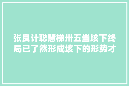 张良计聪慧梯卅五当垓下终局已了然形成垓下的形势才是关键