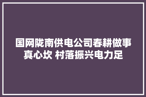 国网陇南供电公司春耕做事真心坎 村落振兴电力足