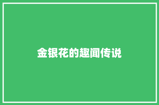 金银花的趣闻传说