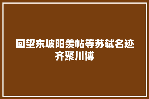 回望东坡阳羡帖等苏轼名迹齐聚川博