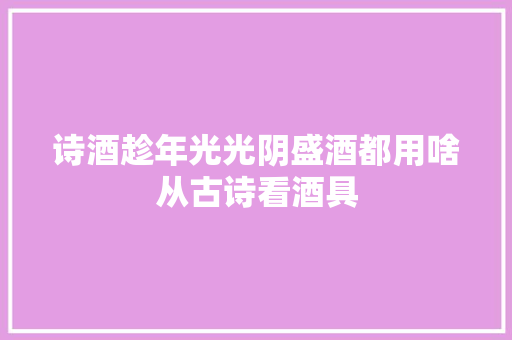 诗酒趁年光光阴盛酒都用啥从古诗看酒具